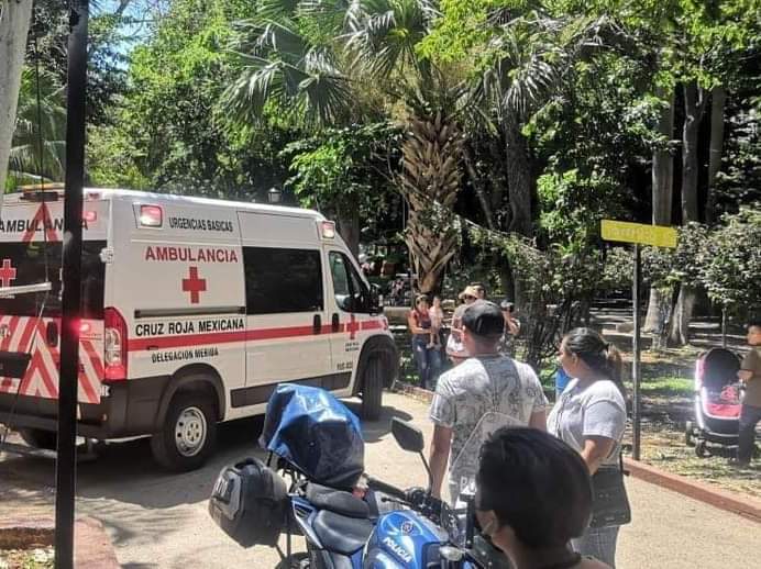 El «trenecito» permanecerá cerrado hasta nuevo&nbsp;aviso