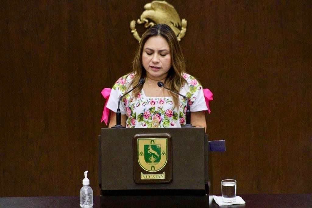 Carmen González Martín y Melba Gamboa las únicas que podrían repetir en el Congreso de&nbsp;Yucatán