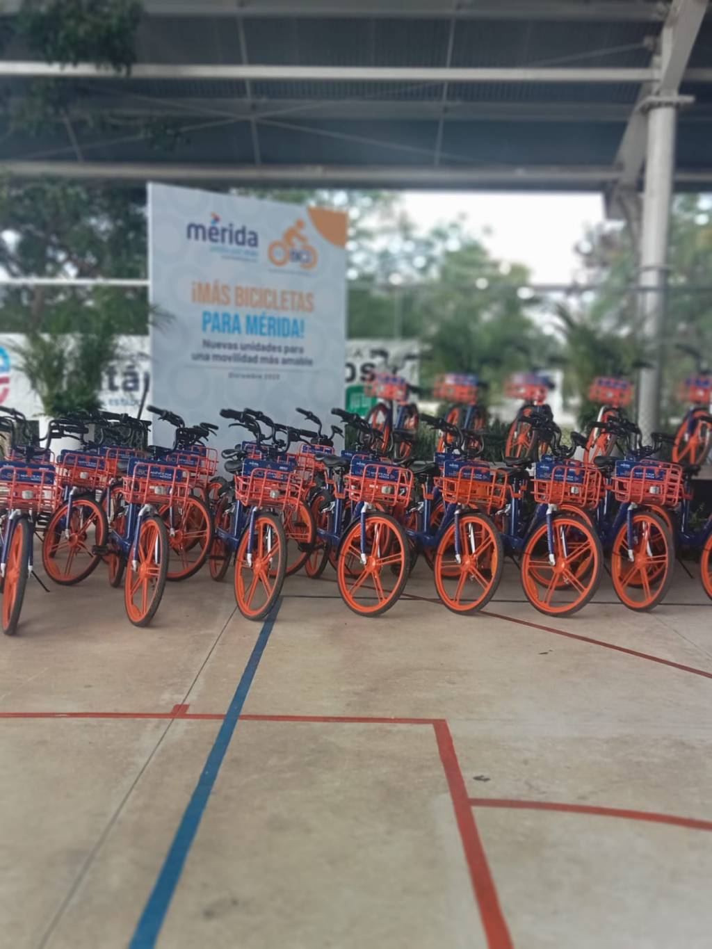 Ya SON 600 bicicletas gratuitas en&nbsp;Mérida