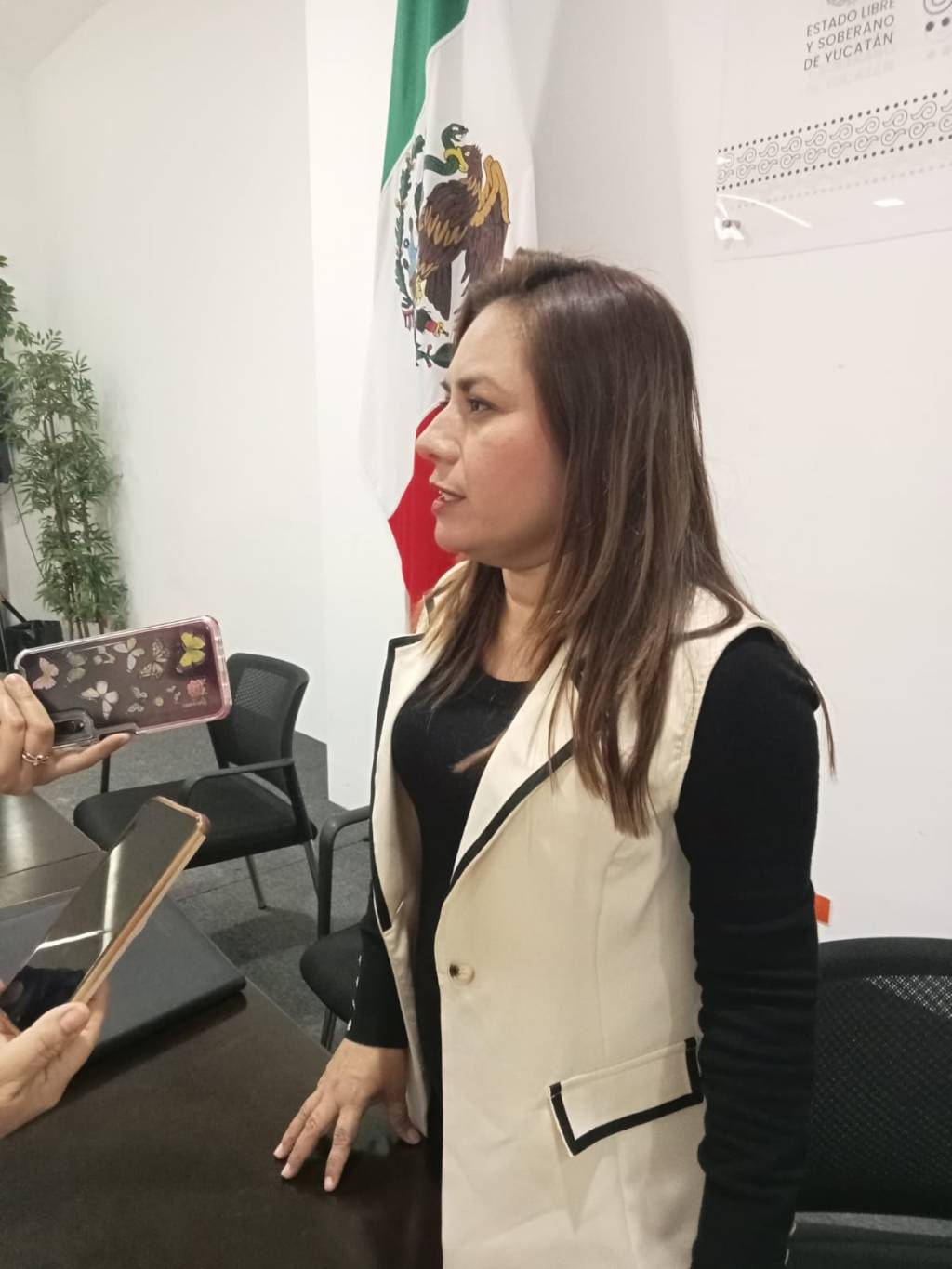 La nueva “ley de adopción” será analizada en comisiones compartidas del Congreso de&nbsp;Yucatán