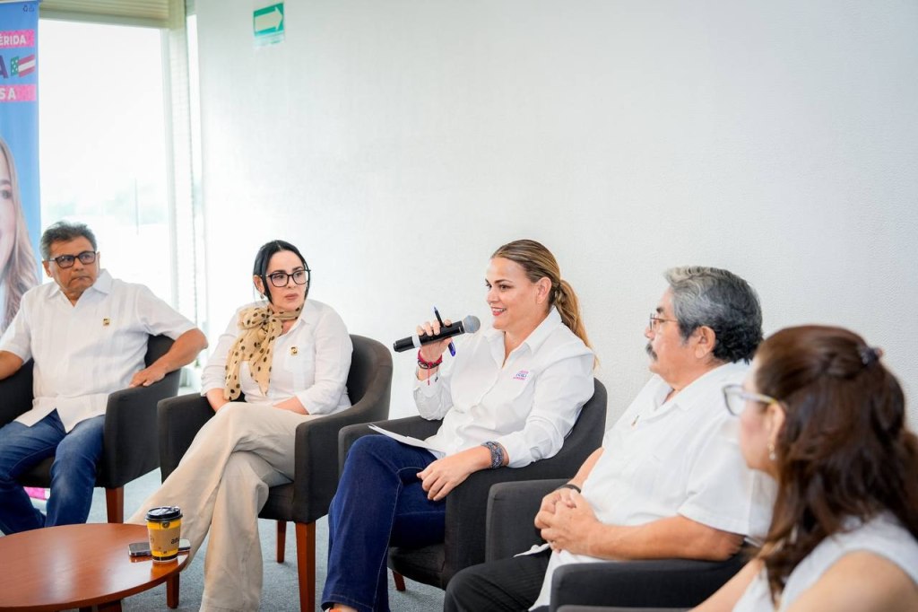 Cecilia Patrón presentó su plan a&nbsp;profesionales