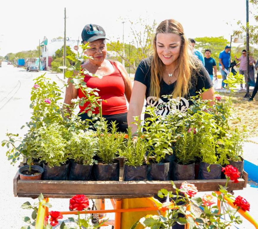 Descuento en el predial para quien tenga un árbol o un panel&nbsp;solar