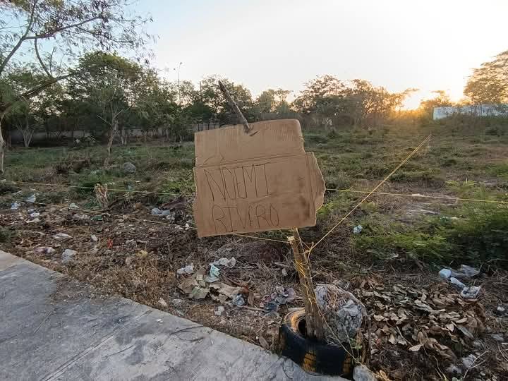 Ayuntamiento de Mérida interpone denuncia contra&nbsp;invasores