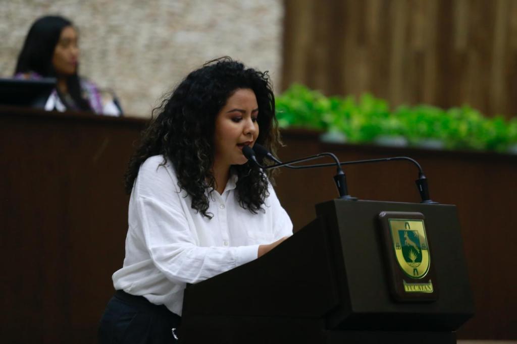 Buscan aterrizar la ley silla en&nbsp;Yucatán