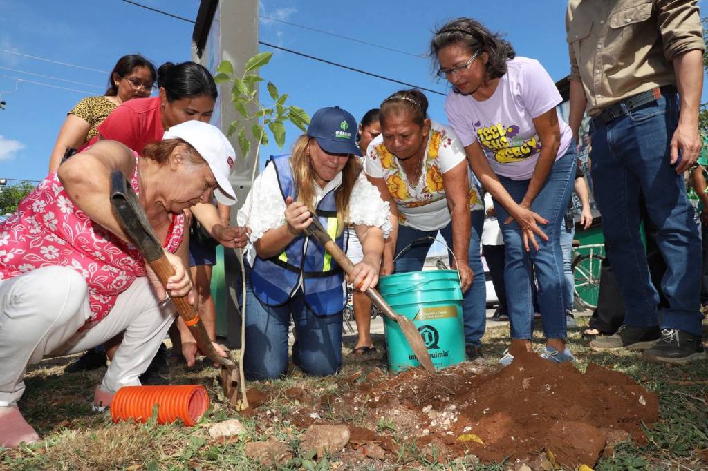 Cecilia Patrón se fija la meta de plantar 8 mil 500&nbsp;árboles