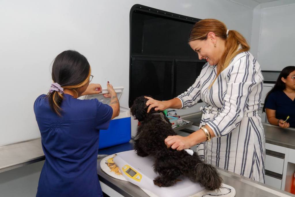 Cecilia Patrón impulsa Mega Jornada de Esterilización gratuita en&nbsp;Mérida