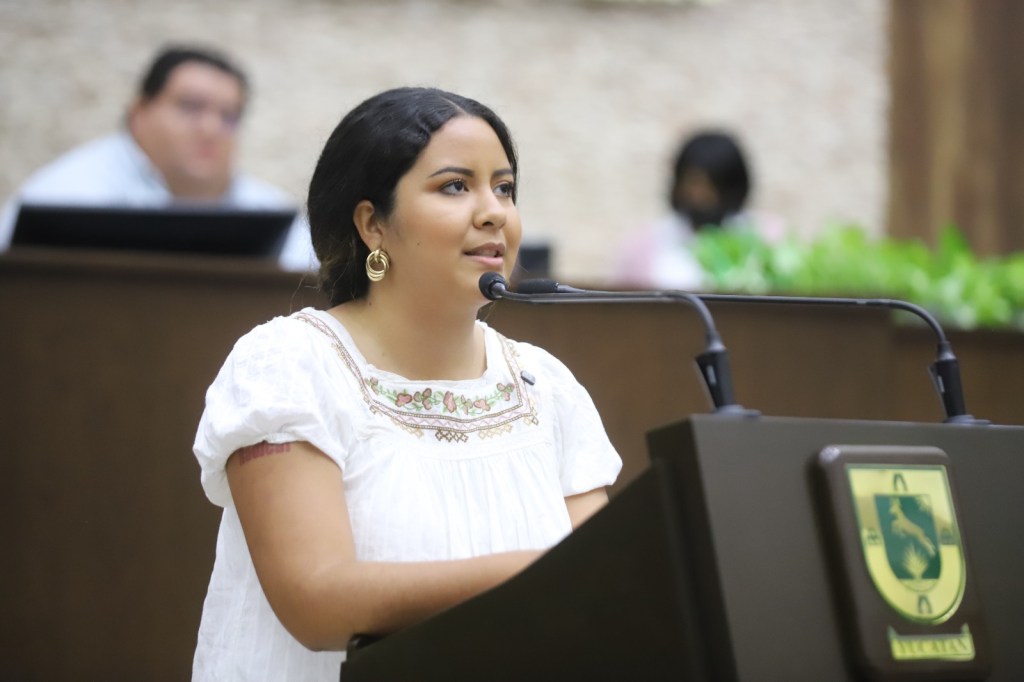 «El Poder Judicial se despide burlando la Ley 3 de 3»: Larissa&nbsp;Acosta