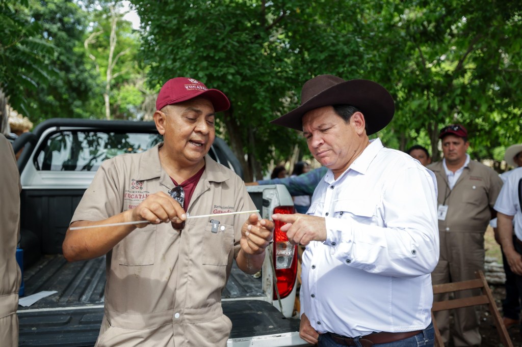 Yucatán fortalece su ganadería con apoyo técnico y genética de alto&nbsp;nivel
