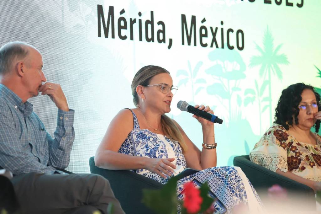 En Mérida impulsamos un modelo de participación ciudadana para ordenar la ciudad : Cecilia&nbsp;Patrón
