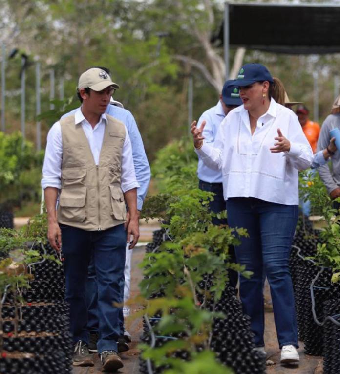 Árboles fuertes y una Mérida más verde gracias a una nueva manera de plantar: Cecilia&nbsp;Patrón