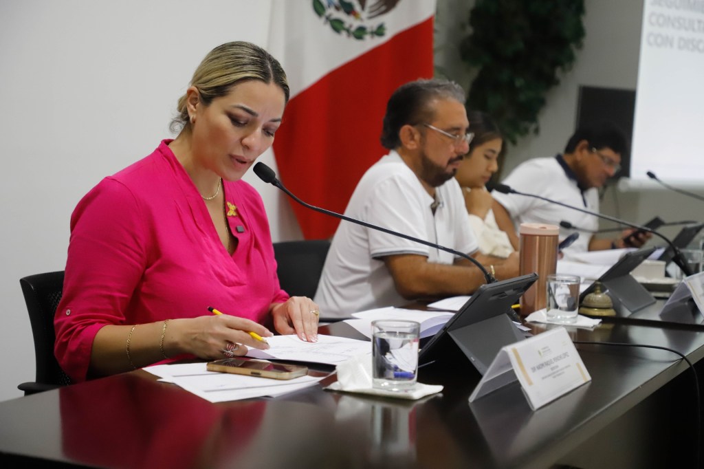 Comisiones Unidas continúan el proceso rumbo a los foros de consulta a personas con&nbsp;discapacidad